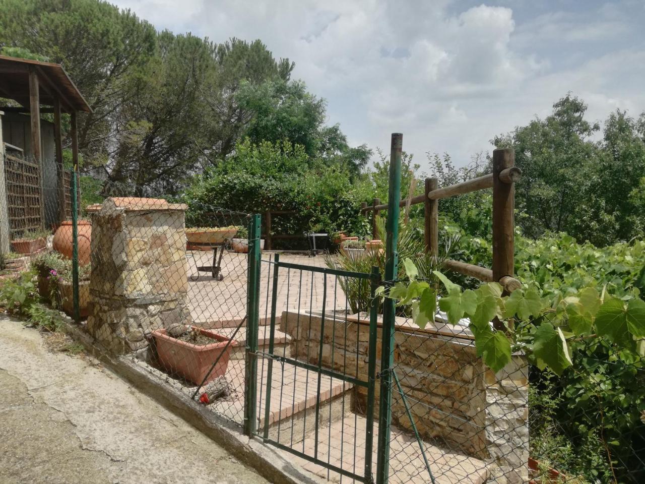 B&B La Rondinella Montecerboli Kültér fotó